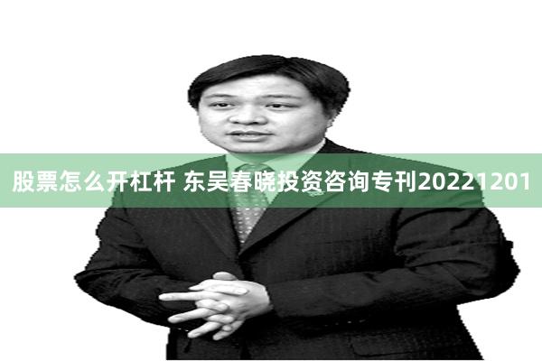 股票怎么开杠杆 东吴春晓投资咨询专刊20221201