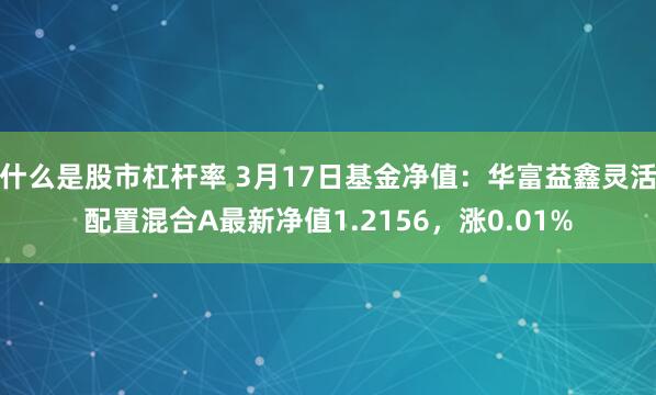 什么是股市杠杆率 3月17日基金净值：华富益鑫灵活配置混合A最新净值1.2156，涨0.01%